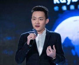 孙宇晨：油腻的九零后币圈网红