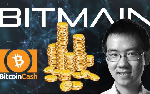 比特大陆最全账本：它到底亏了多少？