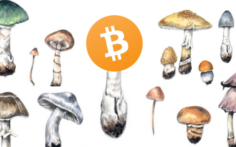 开脑洞！比特币最像的竟不是黄金，而是真菌?