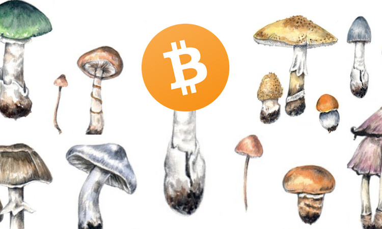 开脑洞！比特币最像的竟不是黄金，而是真菌?