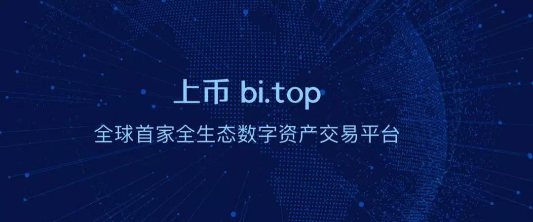 上线153天就凉凉 bi.top交易所是如何葬身寒冬的？
