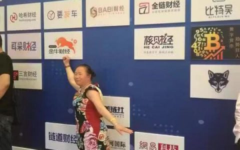 《我们的2018》：我在区块链泡沫中差点成功发币