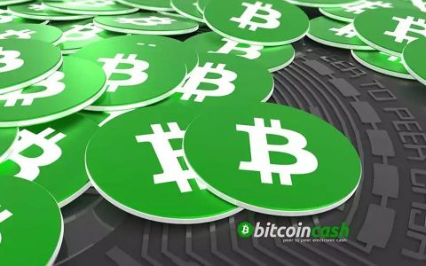 BCH“分家”之后，两大阵营怎样了？