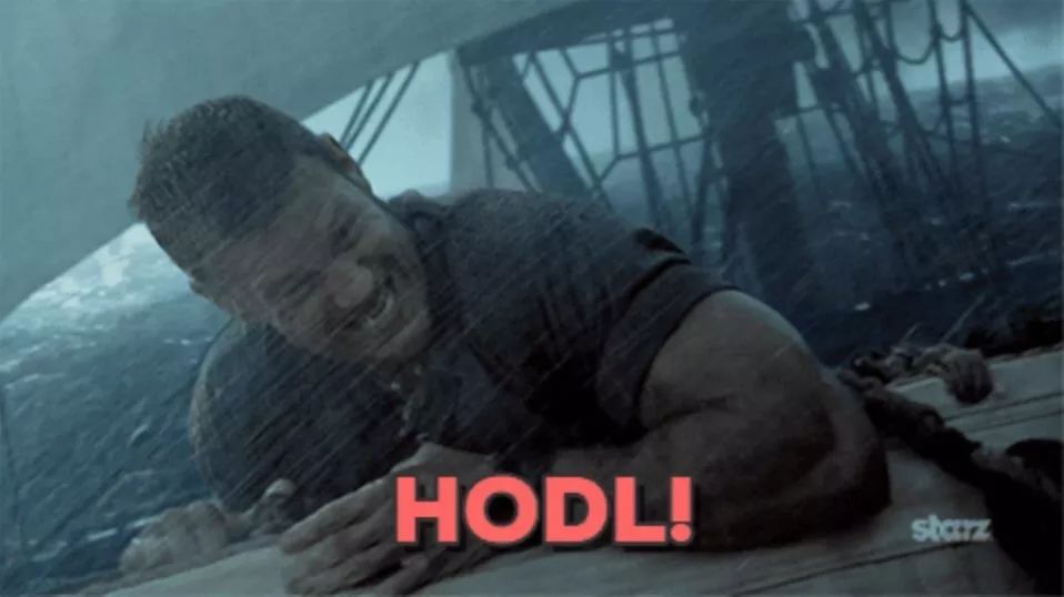 什么是HODL、FUD、Spedn ……一文读懂区块链江湖的密码暗语