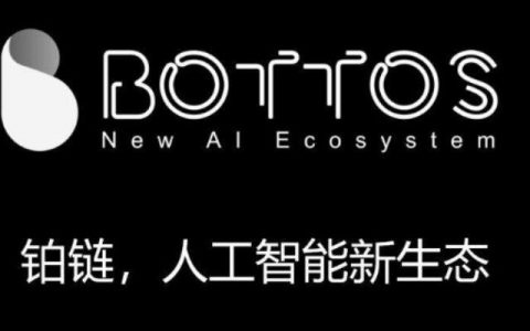 铂链上演罗生门：CEO与创始人公开互怼，资金去向成谜