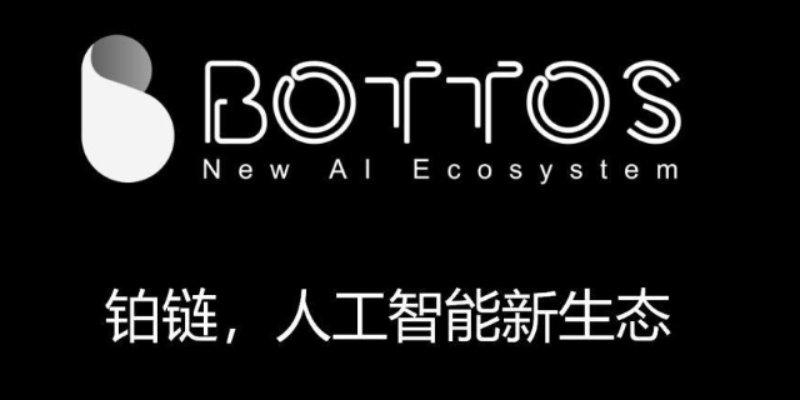 铂链上演罗生门：CEO与创始人公开互怼，资金去向成谜