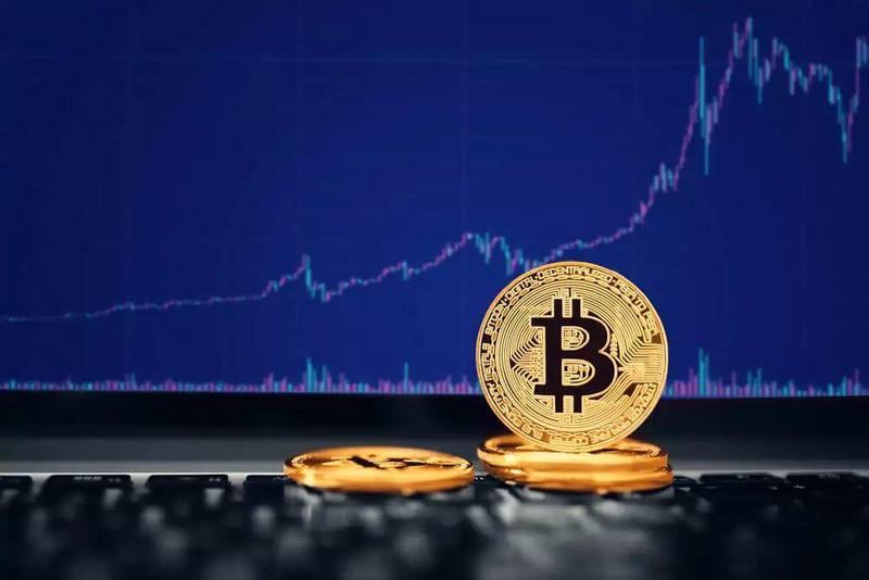 10年之约，我与王思聪赌区块链未来