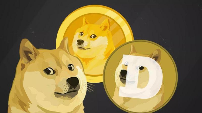 10年之约，我与王思聪赌区块链未来