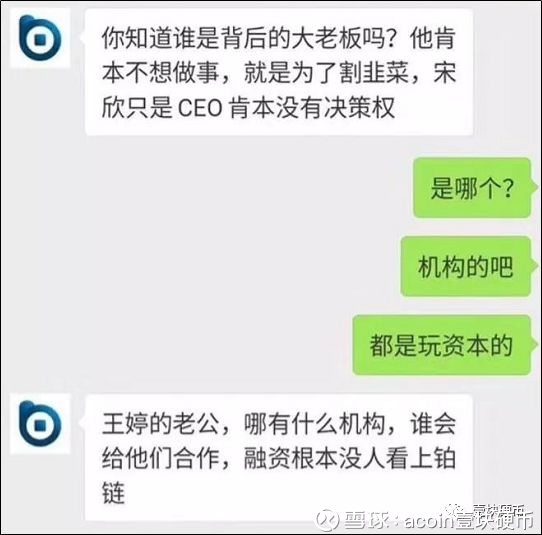 实控人要挟解散团队，CEO被开除，“铂链”大户亏千万