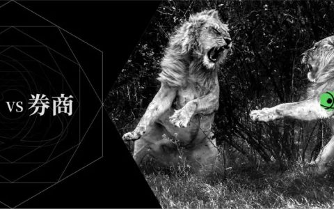 券商模式 VS 币安IEO ，谁在开启加密货币牛市？