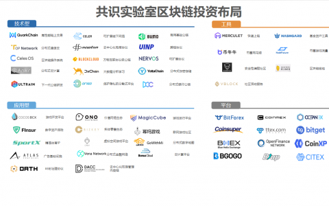 共识实验室(Consensus Lab)发起1亿美元共识产业联盟基金，赋能优质区块链项目持续健康发展