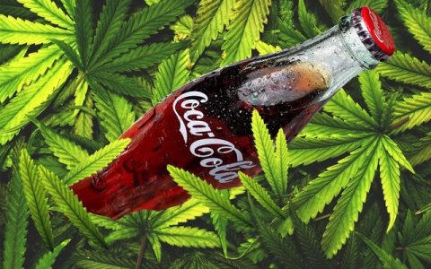 当区块链遇上大麻，除了「大麻币」还有什么？
