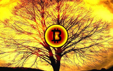 BTC暴跌Bitstamp现巨大价差，市场猜测为空头主力所在