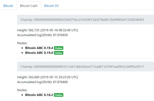 内存池 Bug 导致 BCH 出现空交易区块，P网已暂停 BCHABC 交易