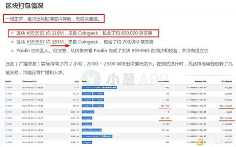 BSV”三链并存”怪象：是崩溃、分裂还是大惊小怪？