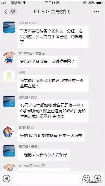 【曝光】“华登区块狗”“区块猫”“十二生肖”全崩盘，“比特猪”也正式被立案调查！！！