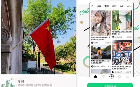 对标ins小红书 新浪“绿洲”欲借“数字资产”搅动社交生态？
