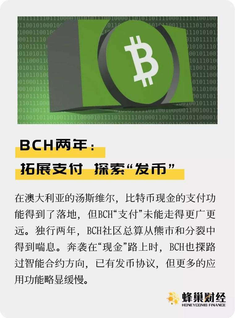 BCH两年：拓展支付 探索“发币”