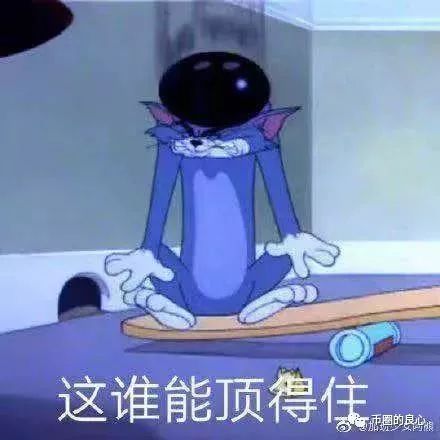 泄露天机：宣判牛顿交易所的命运