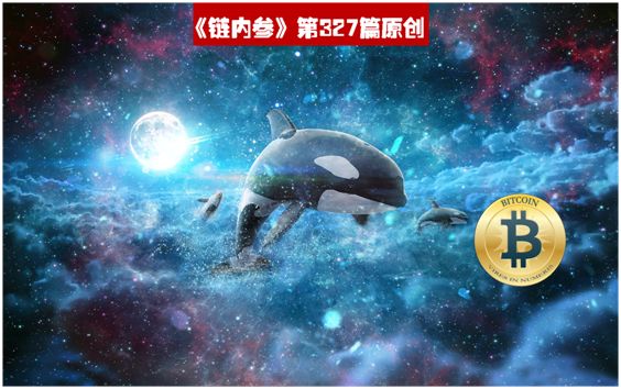 揭开巨鲸加密交易的神秘面纱