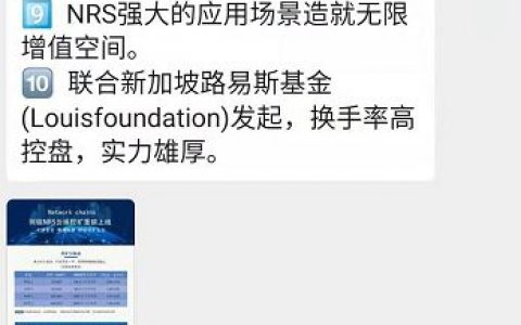 白皮书靠搬砖，技术团队靠复制粘贴，网链（NRS）这把韭菜当弱智？