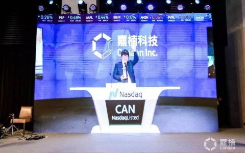 嘉楠耘智上市，谁急了？