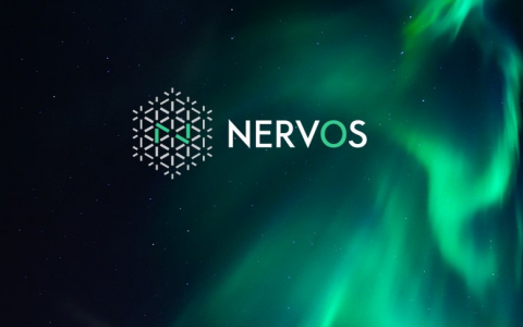 Nervos的冰与火
