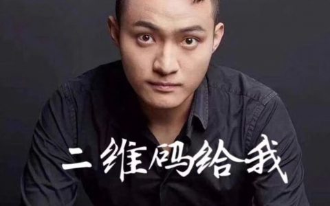 孙宇晨在价值观的坟头蹦迪