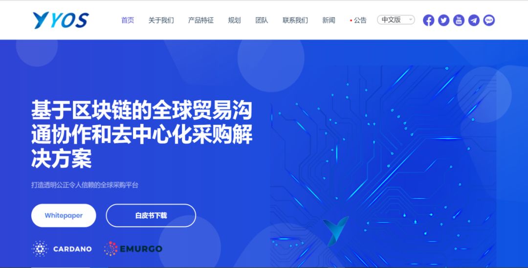 抗拒警察，报警举报无果，假币YST“狸猫换太子”诈骗数百人