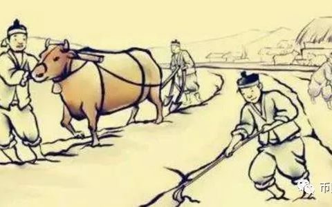 V视大湾区，一个模仿趣步的盘子真的是国家认可的项目吗？