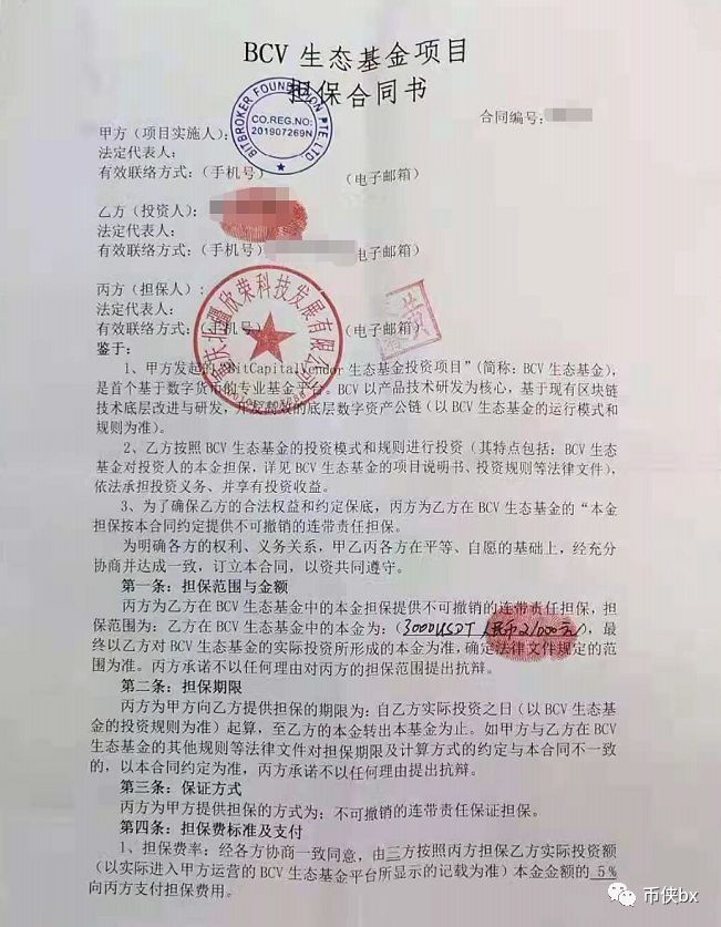 BCV币威崩盘圈钱数亿跑路，更有投资者自杀式维权！