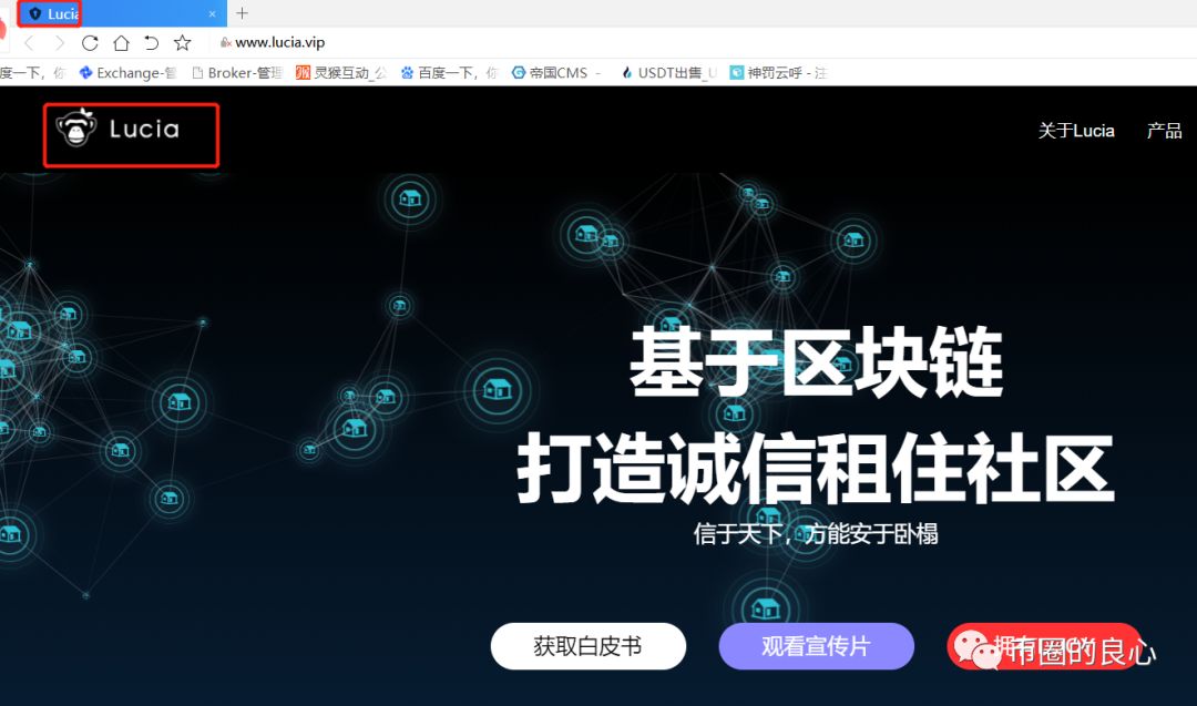 妖币Lucy即将崩盘，此时不跑更待何时？