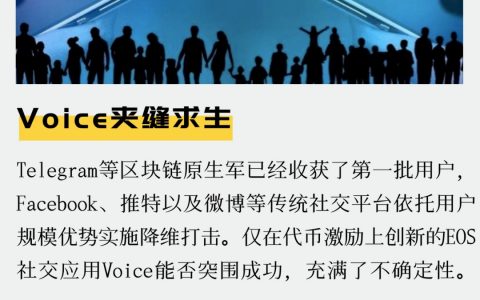 一文了解Voice现状