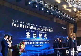 语音实锤刘阳推新盘温莎集团，细数五宗罪