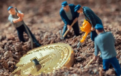 疫情为左，减半为右，场外资金疯狂涌入矿场