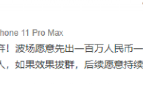发币的李国庆与克制发币的罗永浩
