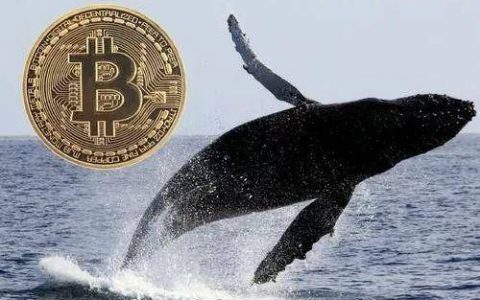 手握34万BTC的典型比特币巨鲸：灰度投资公司
