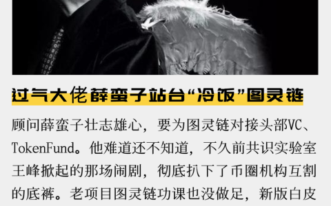 过气大佬薛蛮子站台“冷饭”图灵链