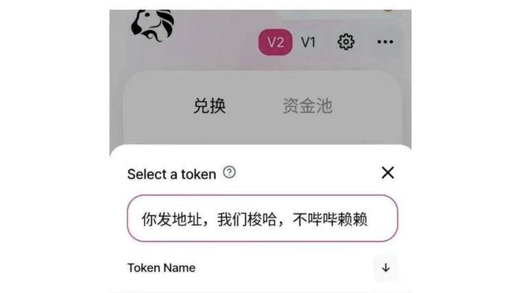 我花了46美元在Uniswap上发了一个币