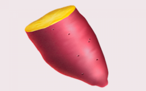 YAM v3：真的要来了