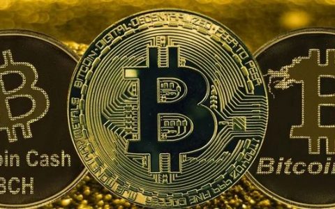 比特币越走越高，但它还能保持“一骑绝尘”多长时间？