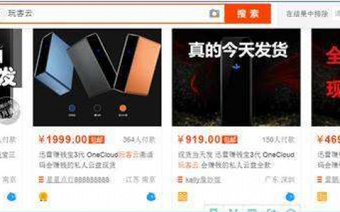 迅雷「玩客云」操盘手陈磊的链圈往事丨目击