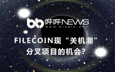 Filecoin 现“关机潮”，分叉项目的机会？