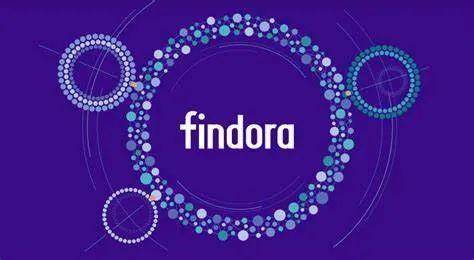 Findora 战略升级背后：离职员工的一口反咬