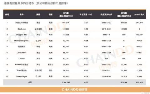 伊始 2021，谁在控盘比特币？