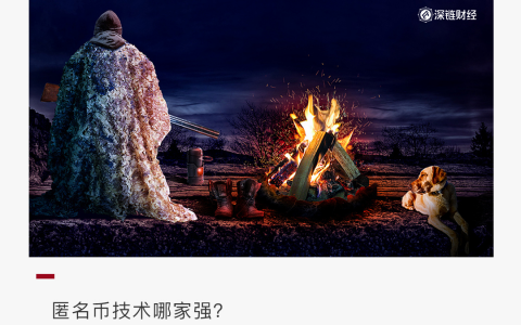 风险与机会，六大热门匿名币哪个更值得关注？