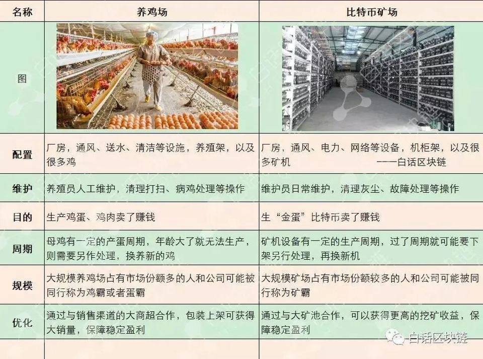 312 过去一年了，比特币还是巴菲特口中的 " 老鼠药 " 么？