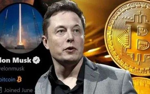炒币一月胜过全年卖车，马斯克带货的比特币还能疯狂多久？