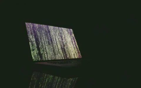 NFT 的四大应用市场：艺术、收藏品、元宇宙、游戏
