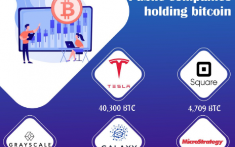 细数那些持有大量比特币金融机构和公司
